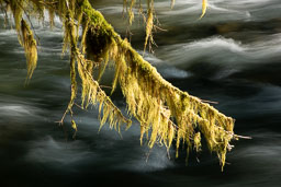 Barbee_220712_8763.jpg