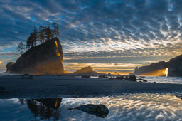 Barbee_220714_Z6_6374-Edit-clone.jpg